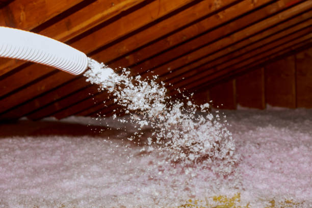 Trusted Springfield, TN Insulation Contractor Experts